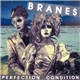 Branes - Perfection Condition